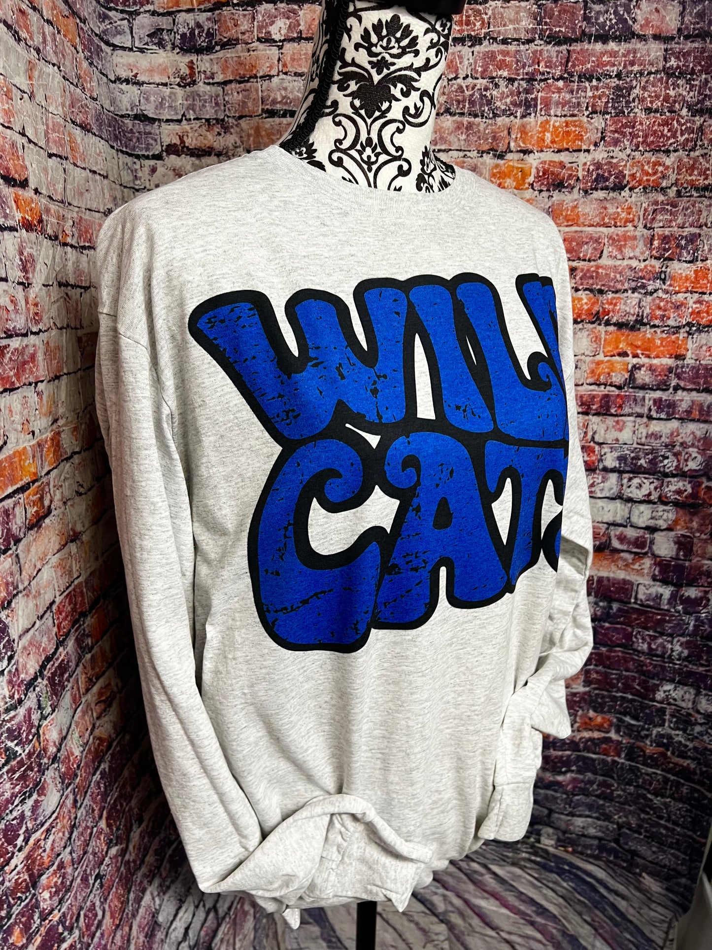 Wildcats scratch
