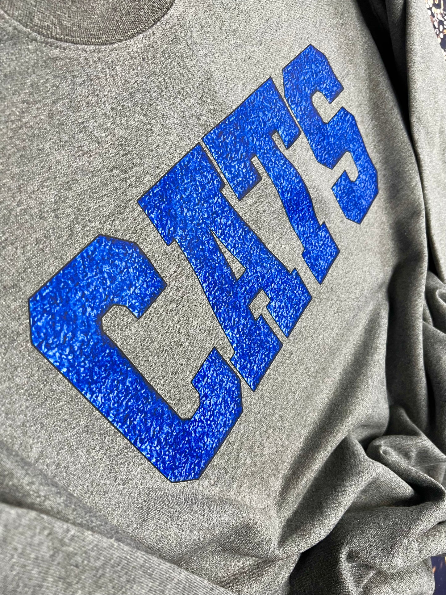 Cats dtf sweatshirt 1st round ( blanks ordered)